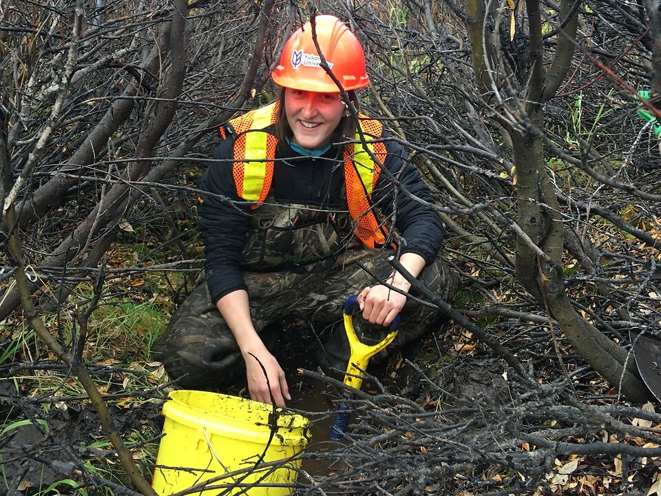 Researcher crouching in a tangle of branches, digging soil into a bucket.