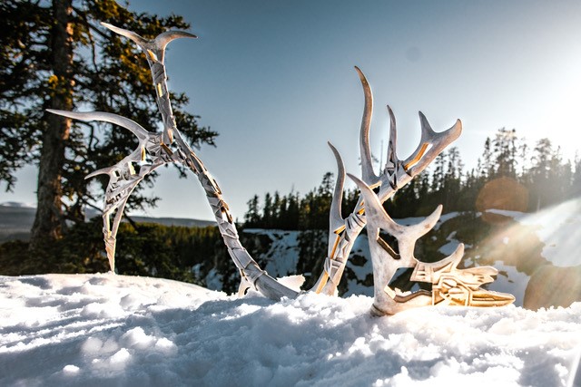 Ceremonial antler sitting on the show